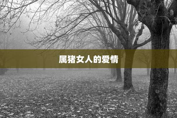 属猪女人的爱情