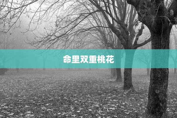 命里双重桃花