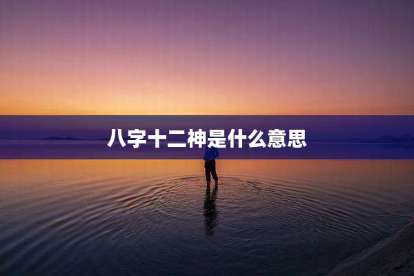 八字十二神是什么意思
