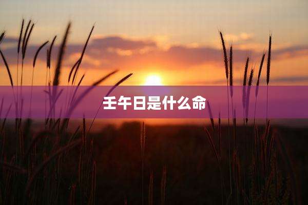 壬午日是什么命
