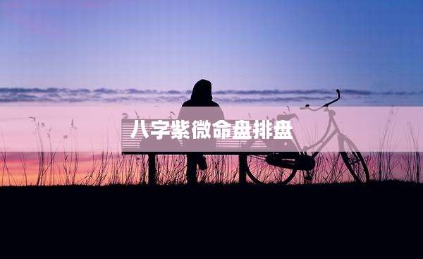 八字紫微命盘排盘