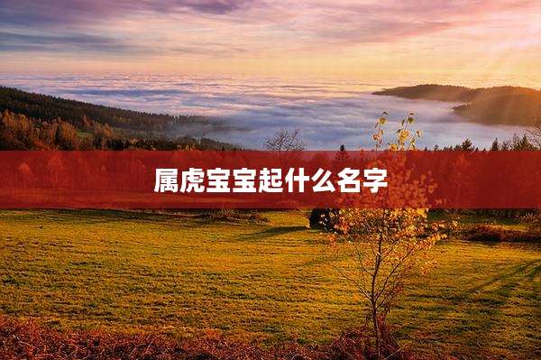 属虎宝宝起什么名字