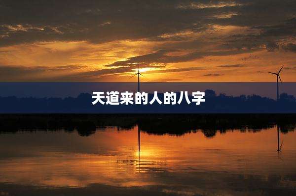 天道来的人的八字