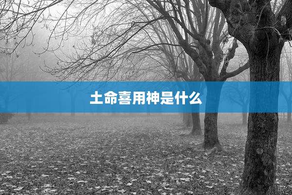 土命喜用神是什么