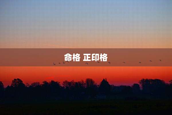 命格 正印格