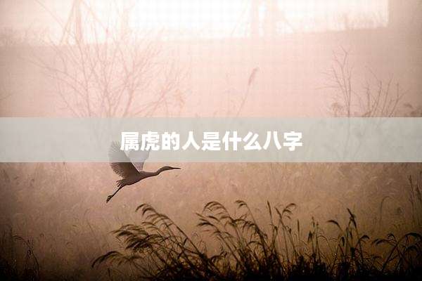 属虎的人是什么八字