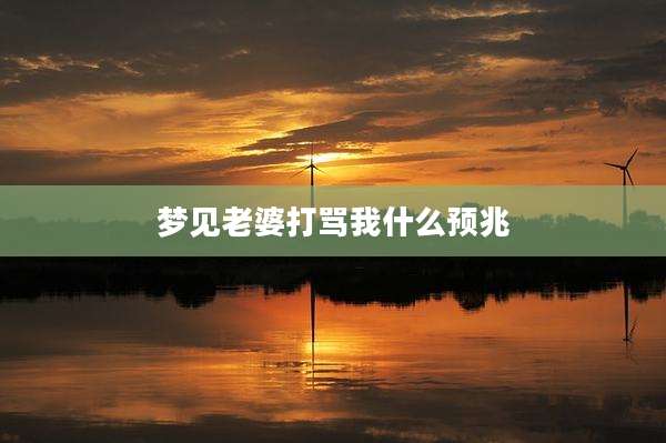 梦见老婆打骂我什么预兆