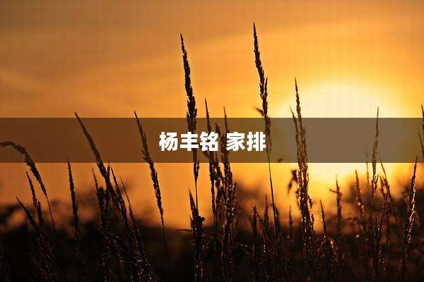 杨丰铭 家排