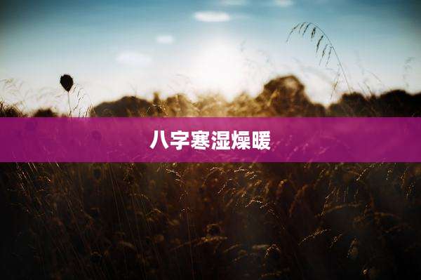 八字寒湿燥暖