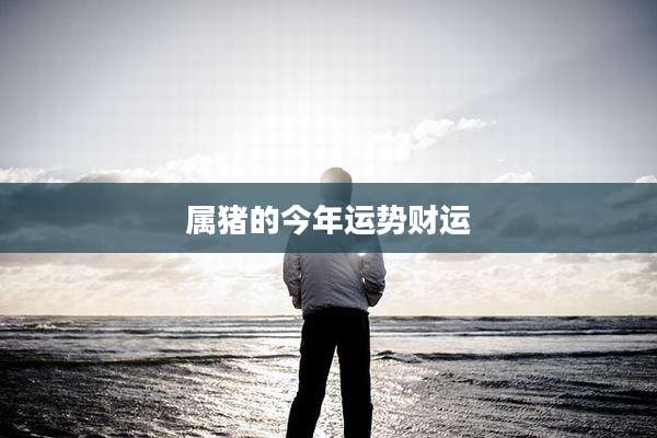 属猪的今年运势财运