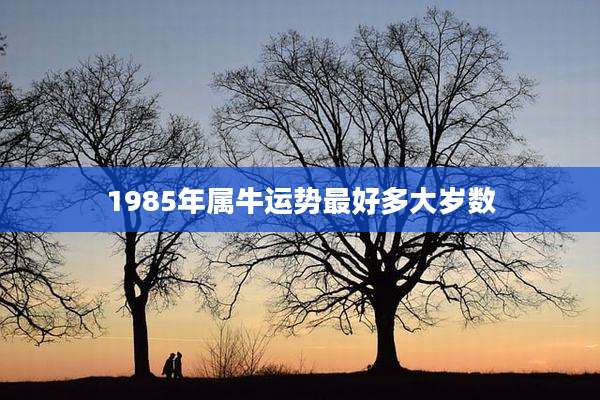 1985年属牛运势最好多大岁数