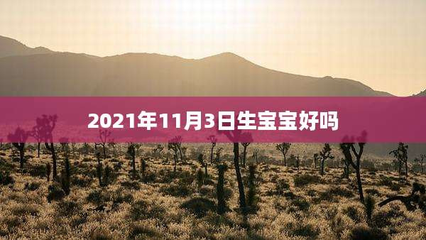 2021年11月3日生宝宝好吗