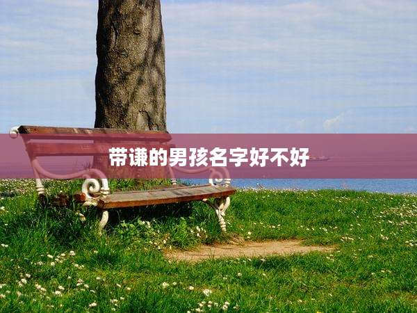 带谦的男孩名字好不好