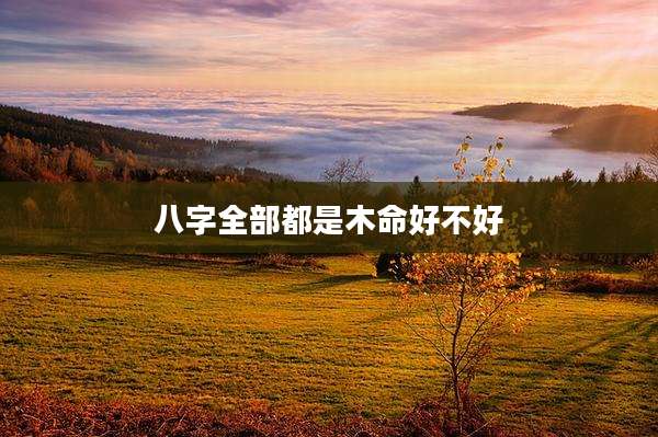 八字全部都是木命好不好