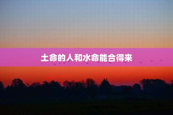 土命的人和水命能合得来