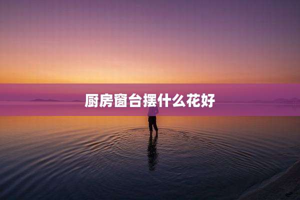 厨房窗台摆什么花好