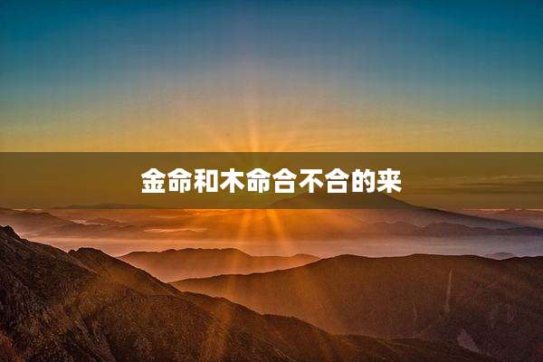 金命和木命合不合的来