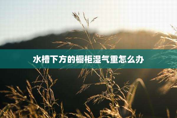 水槽下方的橱柜湿气重怎么办
