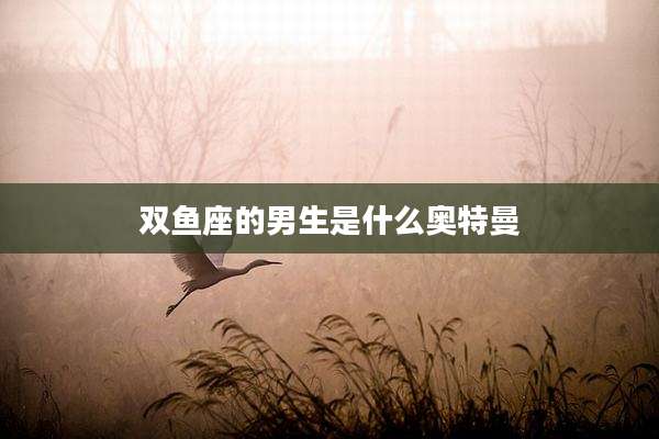 双鱼座的男生是什么奥特曼