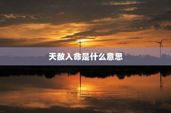 天赦入命是什么意思