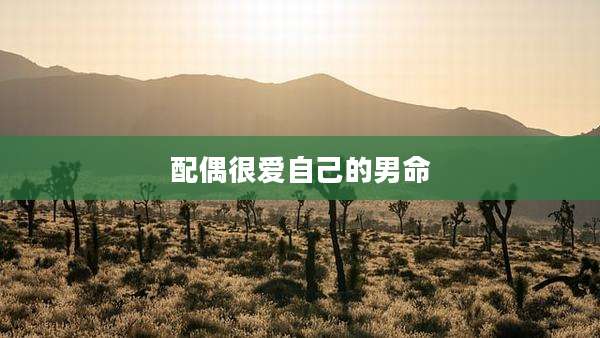 配偶很爱自己的男命