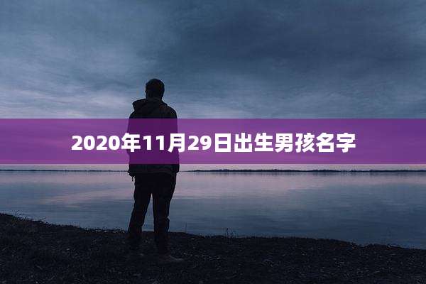 2020年11月29日出生男孩名字