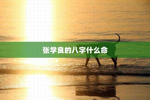 张学良的八字什么命