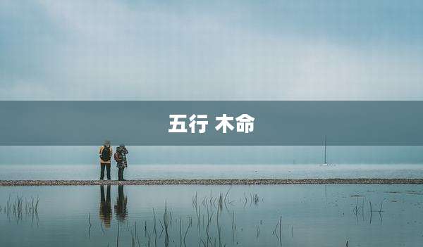 五行 木命