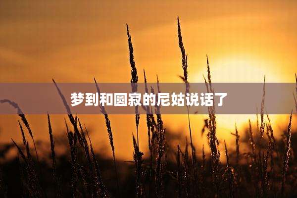 梦到和圆寂的尼姑说话了