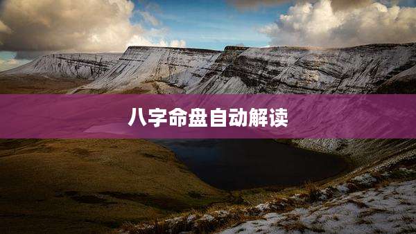 八字命盘自动解读