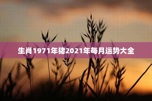 生肖1971年猪2021年每月运势大全