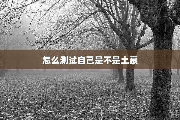 怎么测试自己是不是土豪