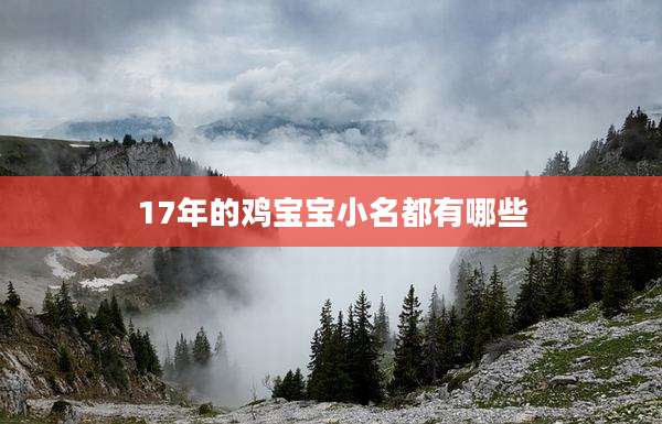 17年的鸡宝宝小名都有哪些