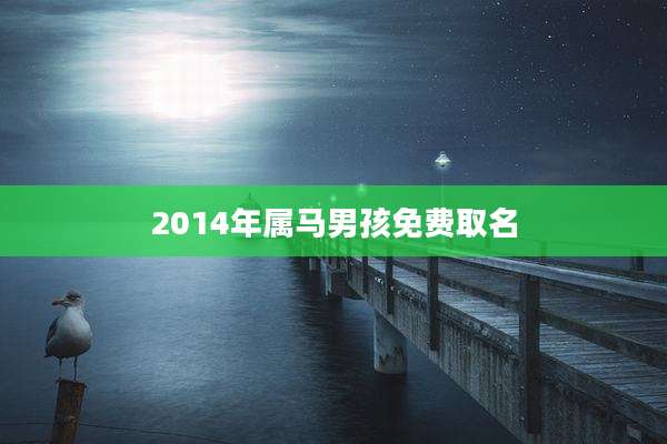 2014年属马男孩免费取名