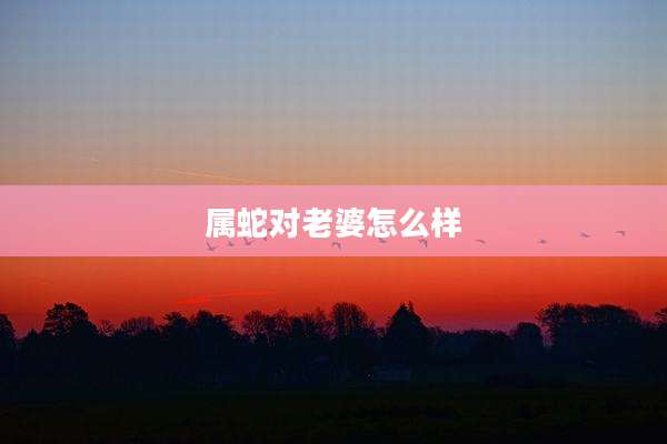 属蛇对老婆怎么样