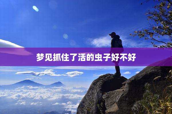 梦见抓住了活的虫子好不好