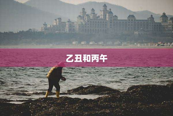 乙丑和丙午