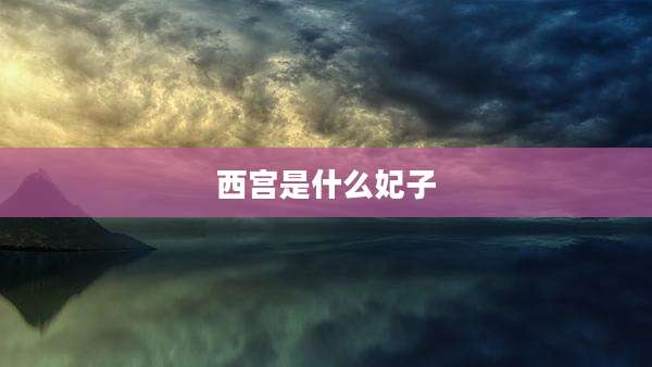 西宫是什么妃子
