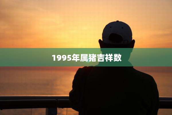 1995年属猪吉祥数