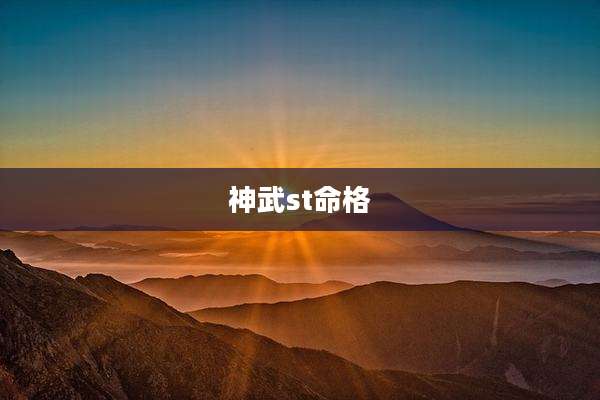 神武st命格
