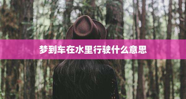 梦到车在水里行驶什么意思