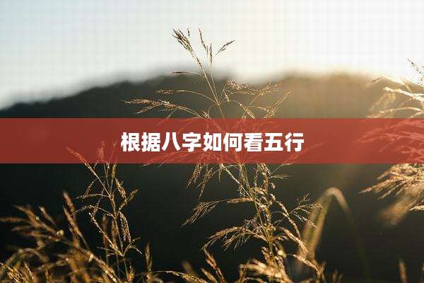 根据八字如何看五行