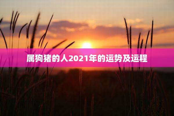 属狗猪的人2021年的运势及运程