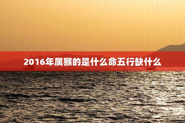 2016年属猴的是什么命五行缺什么