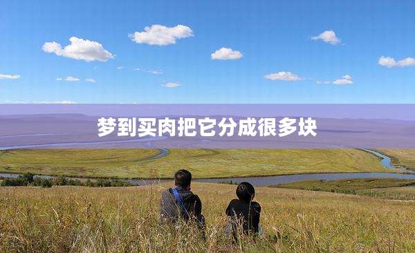 梦到买肉把它分成很多块