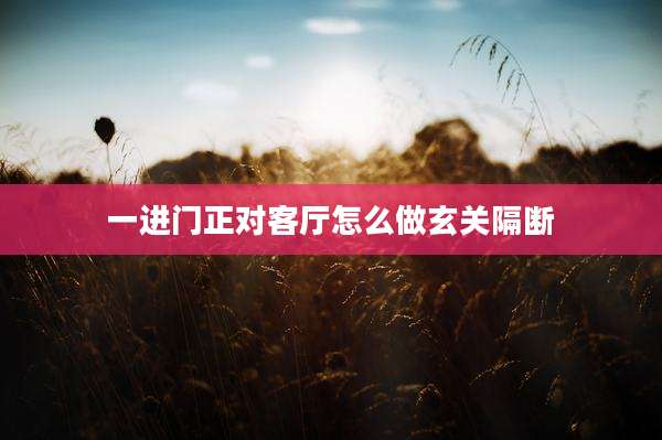 一进门正对客厅怎么做玄关隔断