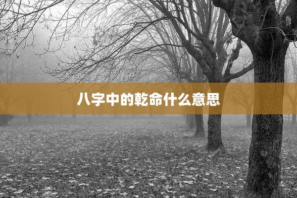 八字中的乾命什么意思