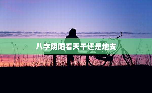 八字阴阳看天干还是地支