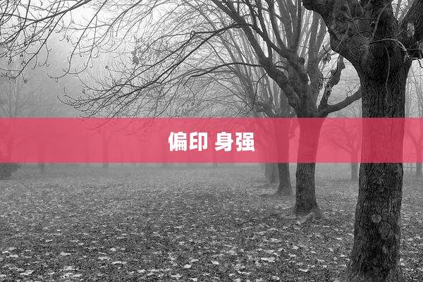 偏印 身强