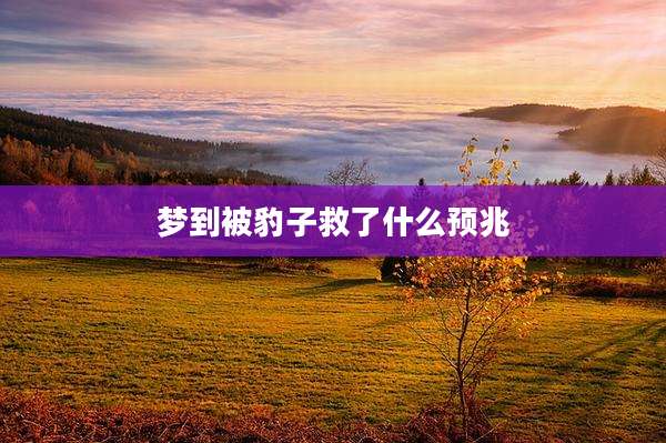 梦到被豹子救了什么预兆